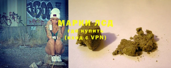 крисы Баксан
