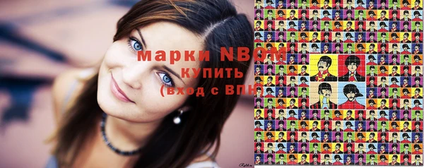 крисы Баксан