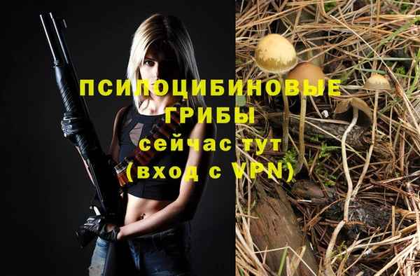 тгк Балахна
