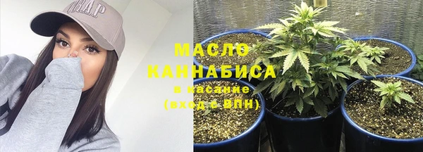 крисы Баксан