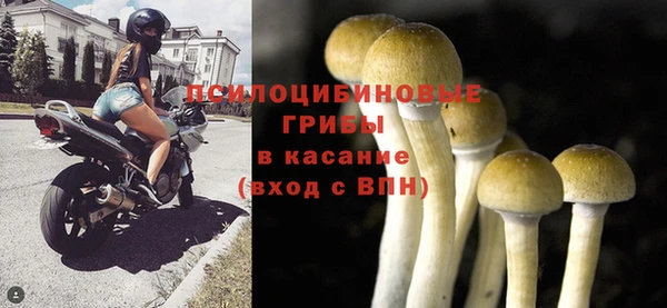 прущие крисы Аркадак