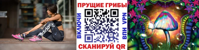 Галлюциногенные грибы мухоморы  Приозерск 