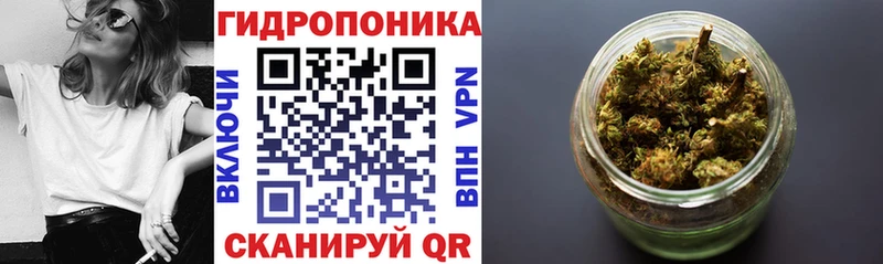 Бошки марихуана марихуана  купить наркотики цена  Приозерск 